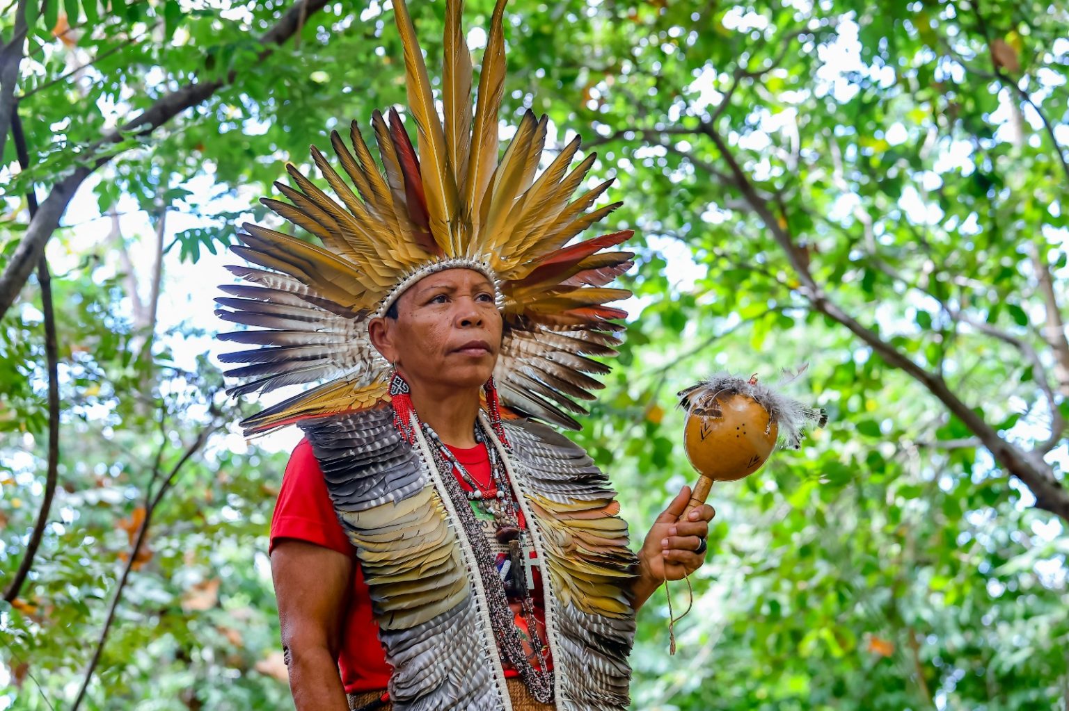 HOMENAGEM ][ Cacica Dan dá nome a palco em Feira da Agricultura Familiar